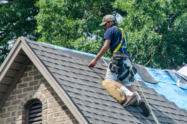 Best Roof Maintenance Services  in Orrville, OH